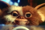 Gizmo is cute but not very interesting in Gremlins.