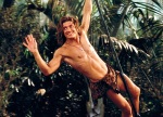 George of the Jungle is a shockingly enjoyable and successful film.